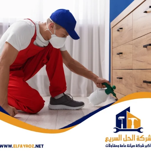 أفضل شركة مكافحة حشرات في الشارقة