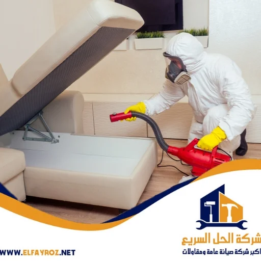 شركة مكافحة حشرات في دبي 0544453508
