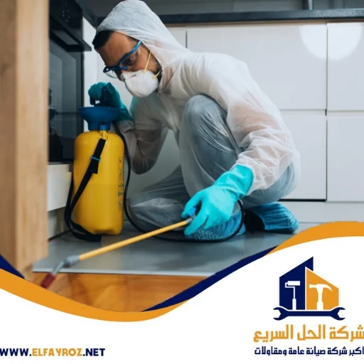 شركة مكافحة حشرات في ام القيوين 0544453508