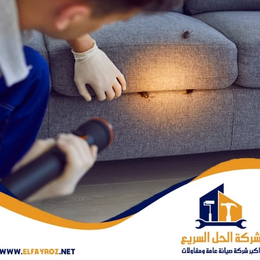 شركة مكافحة حشرات في دبي 0544453508