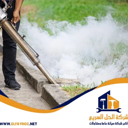 شركة مكافحة حشرات في رأس الخيمة