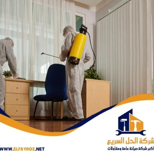 شركة مكافحة حشرات في عجمان