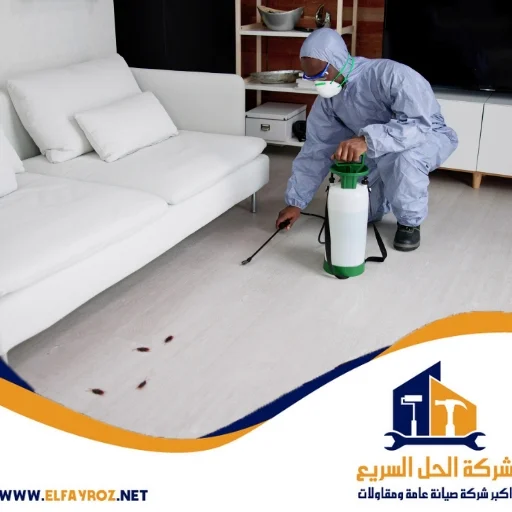 مكافحة حشرات في عجمان