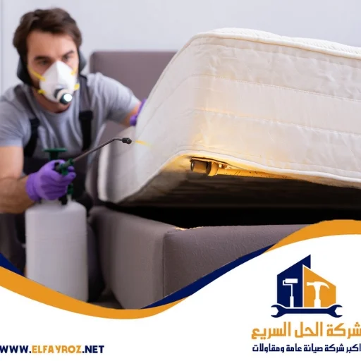 شركة مكافحة حشرات في الشارقة