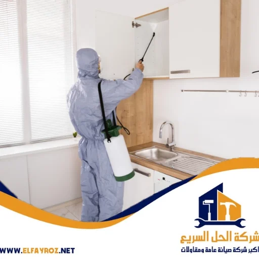 شركة مكافحة حشرات في عجمان