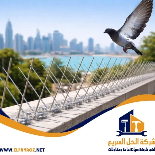 شركة تركيب طارد حمام في دبي