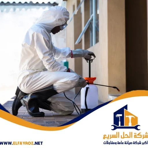 شركة مكافحة حشرات في رأس الخيمة
