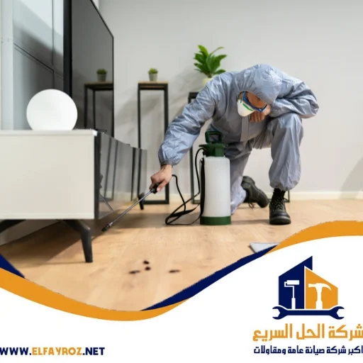شركة مكافحة حشرات في عجمان