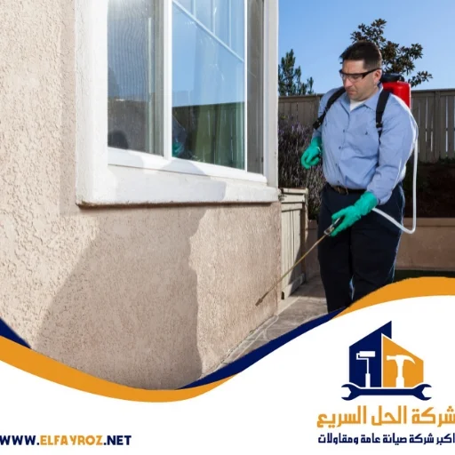 مكافحة حشرات في رأس الخيمة